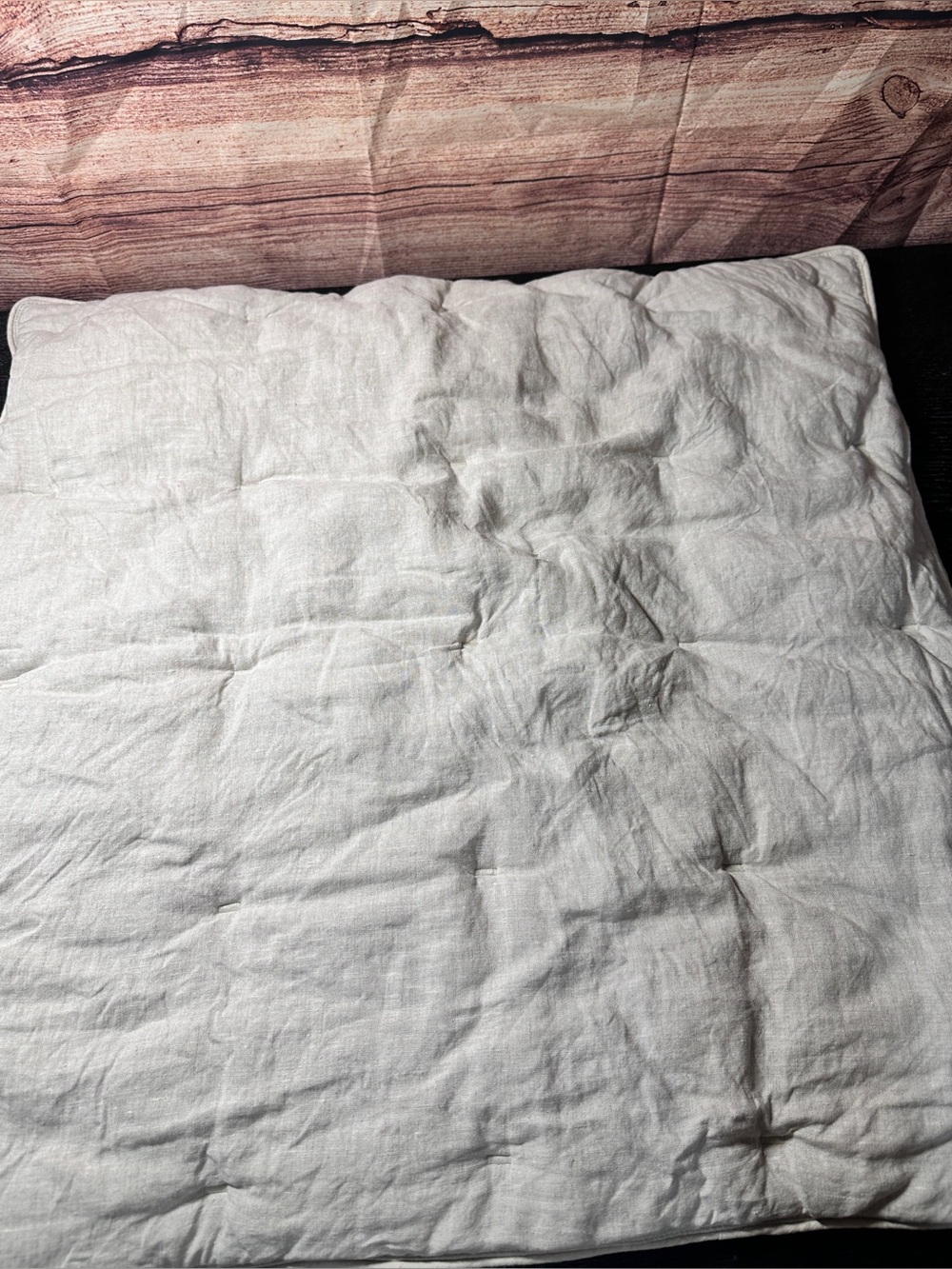 Pottery Barn Cloud Linen Euro Sham 26x26 Light Grey